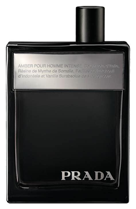 prada l'homme vs amber pour homme|prada pour homme intense.